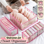 Closet Lingerie Mesh Organizer Set