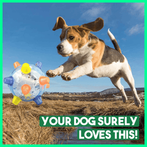 Jumping Activation Ball for Dogs